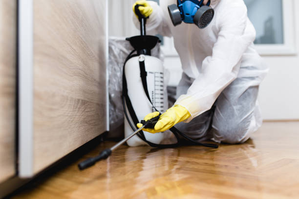 Best Pest Prevention Services  in Collinsville, MS