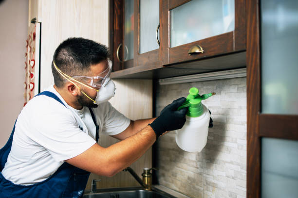 Pest Prevention Services in Collinsville, MS