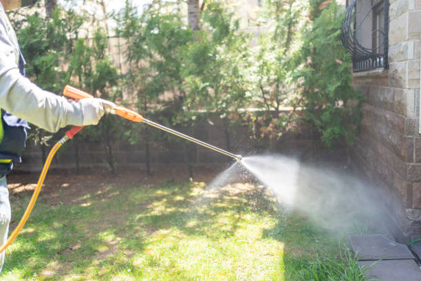 Best Mosquito Control Services  in Collinsville, MS
