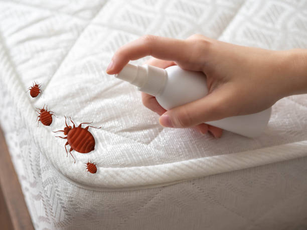 Best Residential Pest Control  in Collinsville, MS