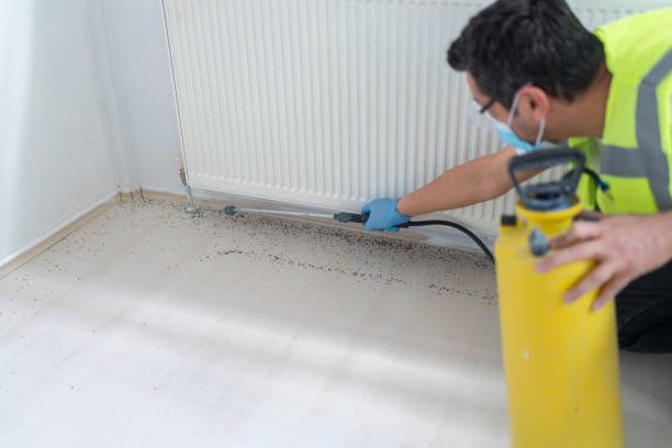 Best Best Pest Control Companies  in Collinsville, MS